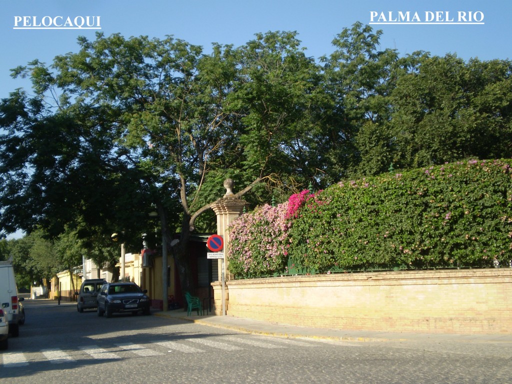 Foto de Palma Del Rio (Córdoba), España