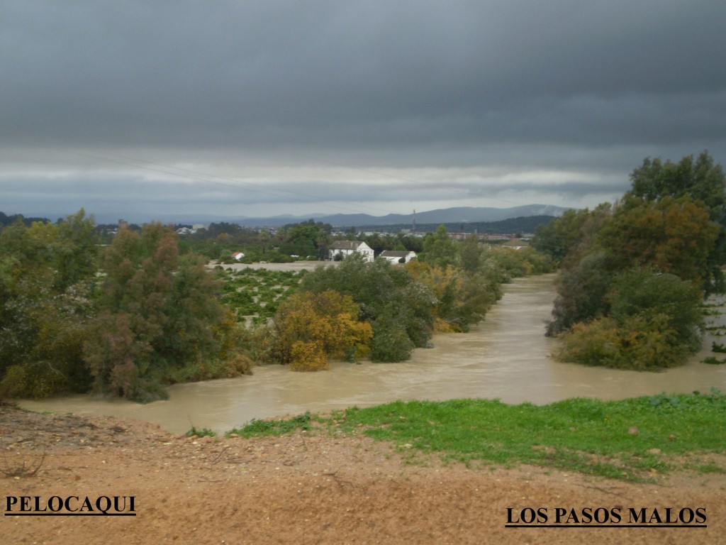 Foto de Palma Del Rio (Córdoba), España