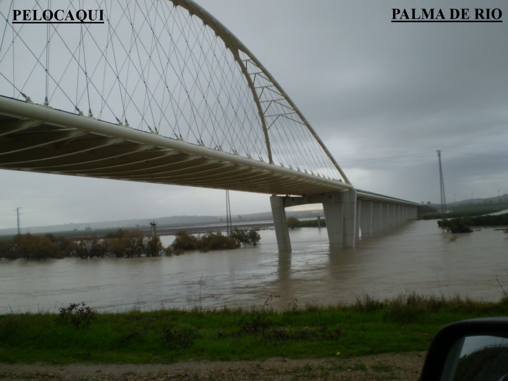 Foto de Palma Del Rio (Córdoba), España