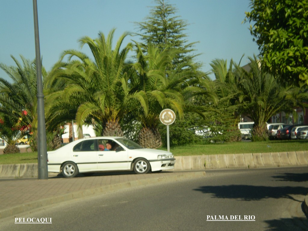 Foto de Palma Del Rio (Córdoba), España