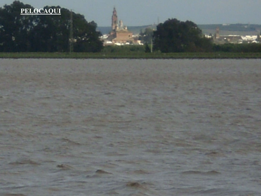 Foto de Palma Del Rio (Córdoba), España