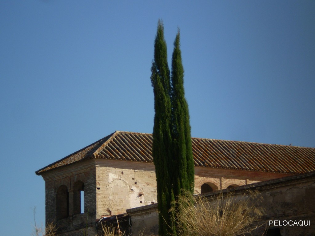 Foto de Palma Del Rio (Córdoba), España