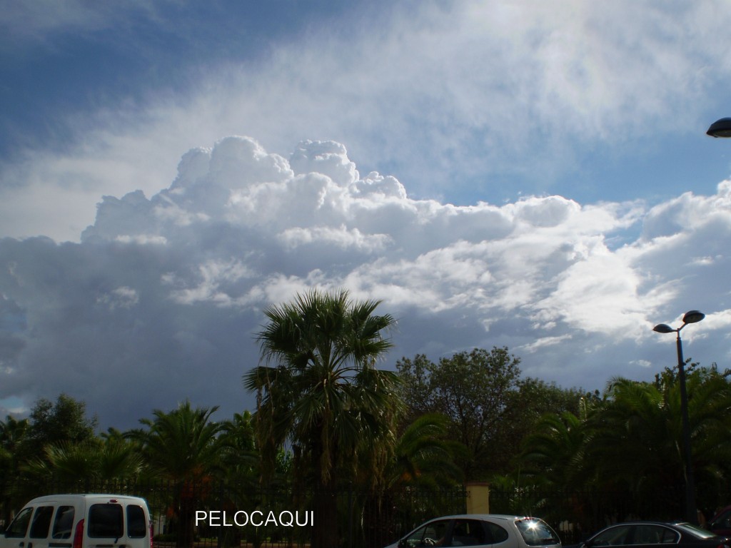 Foto de Palma Del Rio (Córdoba), España