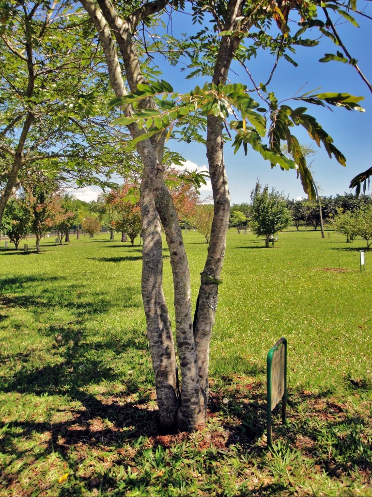 Foto: Itaipú Binacional - Foz do Iguaçú (Paraná), Brasil