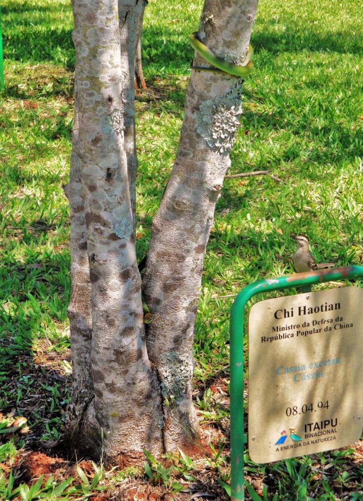 Foto: Itaipú Binacional - Foz do Iguaçú (Paraná), Brasil