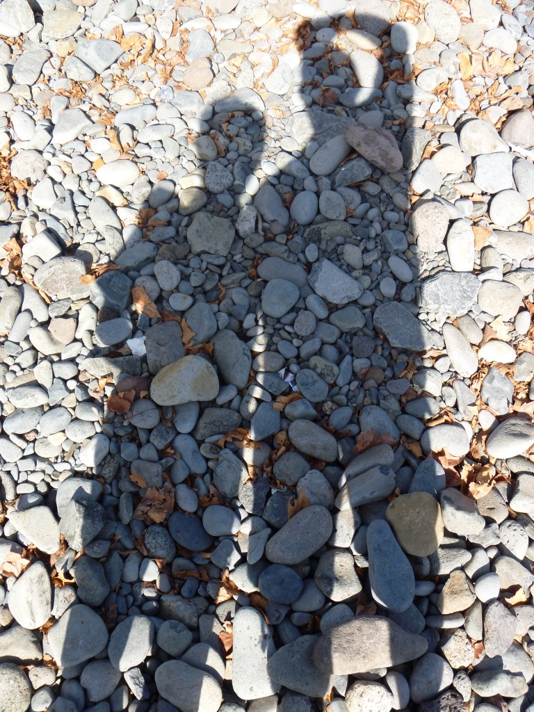 Foto de Madeira, Portugal