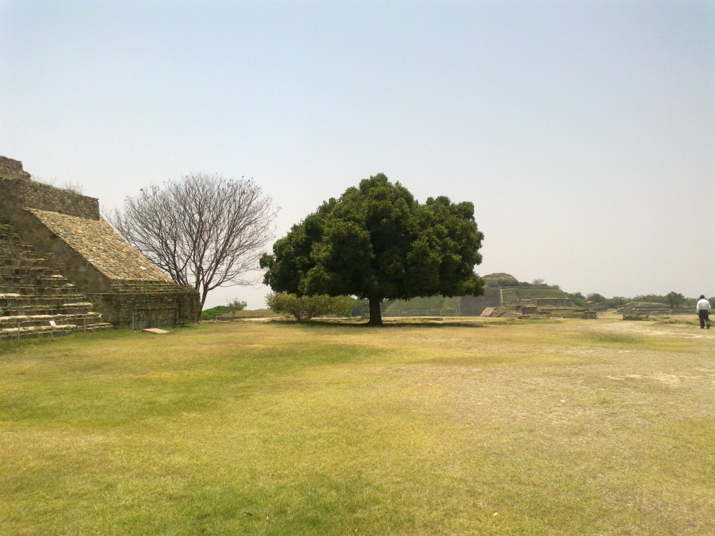 Foto de Monte Alban (Oaxaca), México