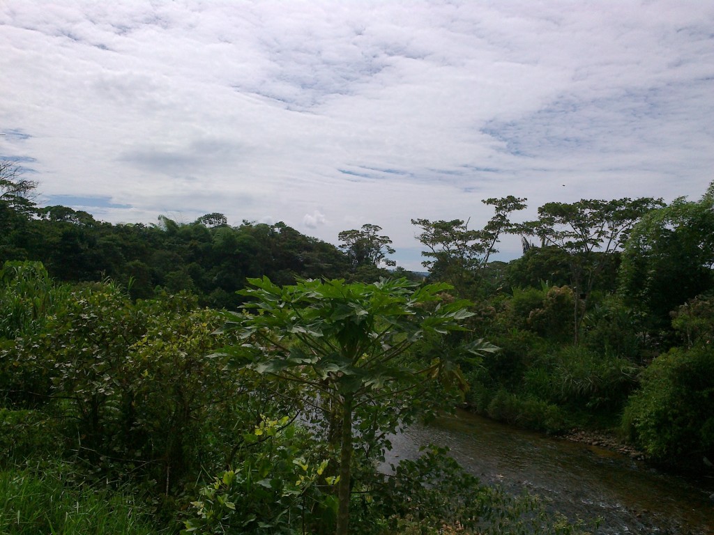Foto: Rio pindo en verano - Puyo (Pastaza), Ecuador