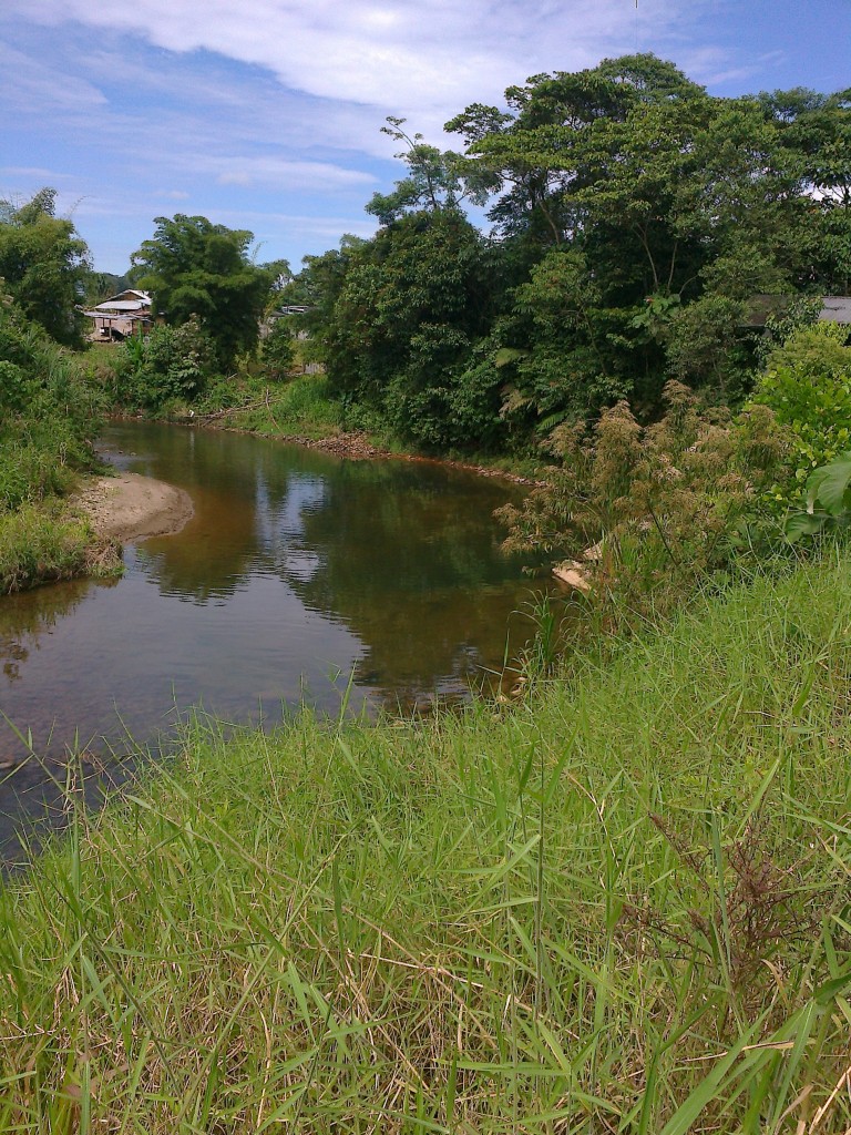 Foto: Rio pindo en verano - Puyo (Pastaza), Ecuador