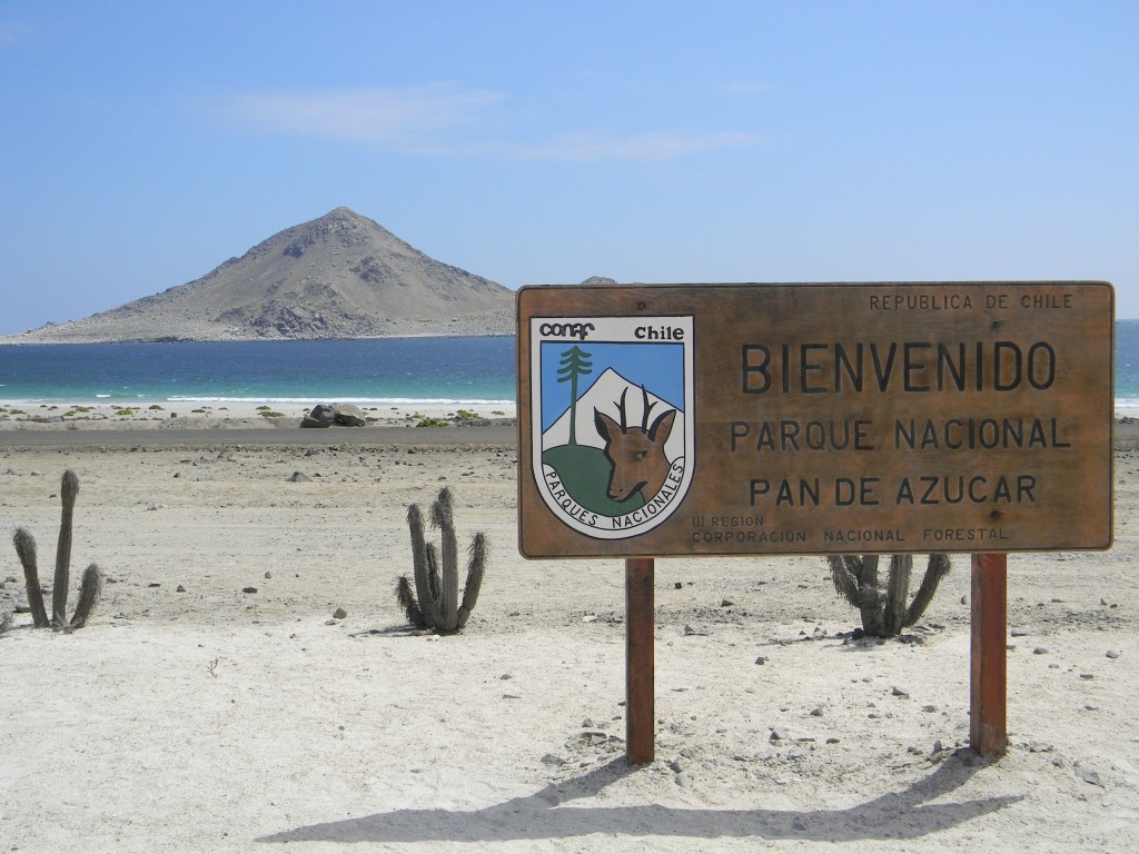 Foto: Parque Nacional Pan de Azucar - Chañaral (Atacama), Chile