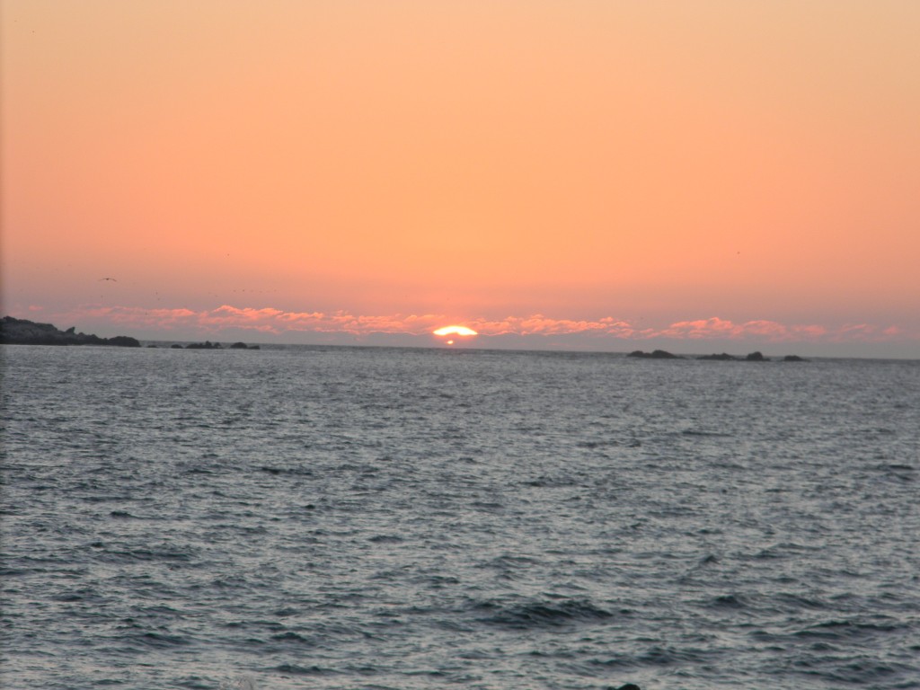 Foto: OCASO - Chañaral (Atacama), Chile