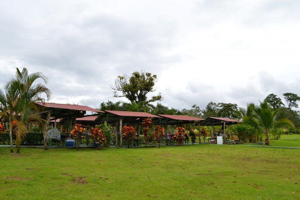 Foto de La fortuna, San Carlos (Alajuela), Costa Rica