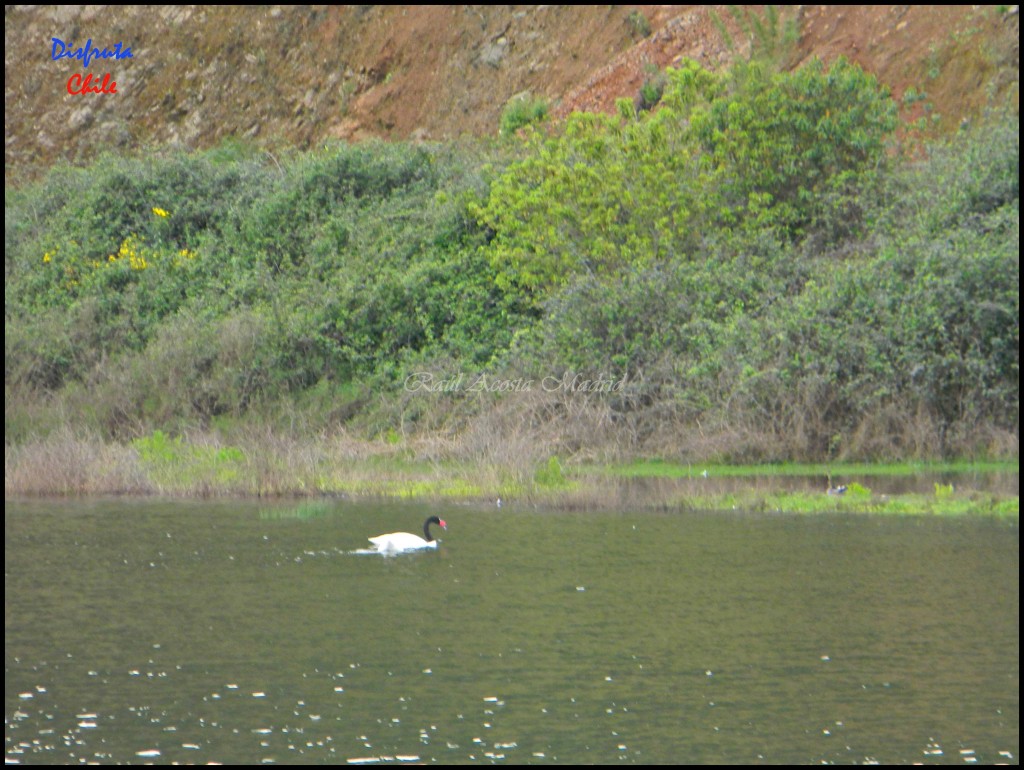 Foto de Cáhuil (Libertador General Bernardo OʼHiggins), Chile