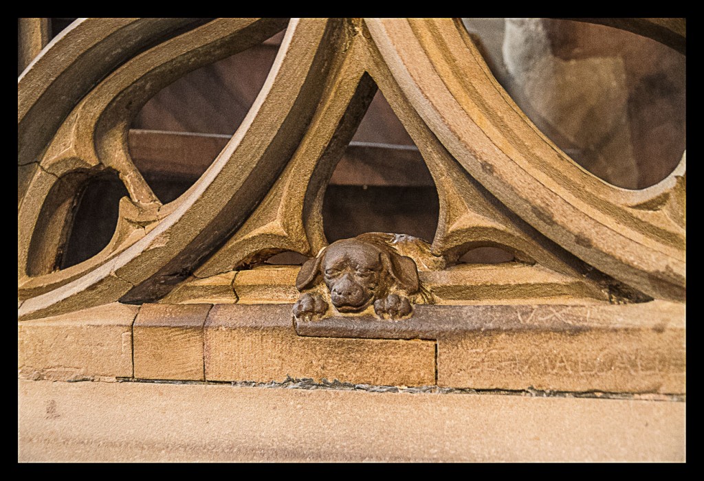 Foto de Estrasburgo (Alsace), Francia