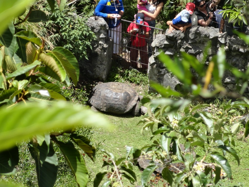 Foto: Galapago - Baños (Tungurahua), Ecuador