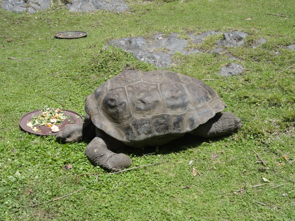 Foto: Galapago - Baños (Tungurahua), Ecuador