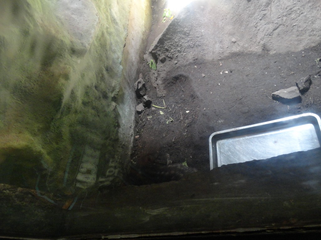 Foto: Danta - Baños (Tungurahua), Ecuador