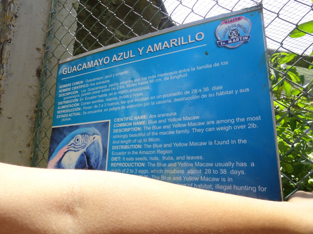 Foto: Guacamayo - Baños (Tungurahua), Ecuador