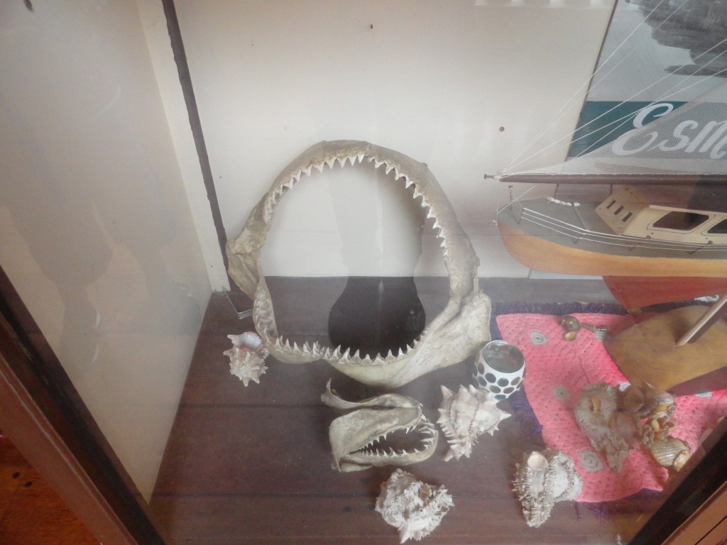 Foto: Vitrina - Baños (Tungurahua), Ecuador