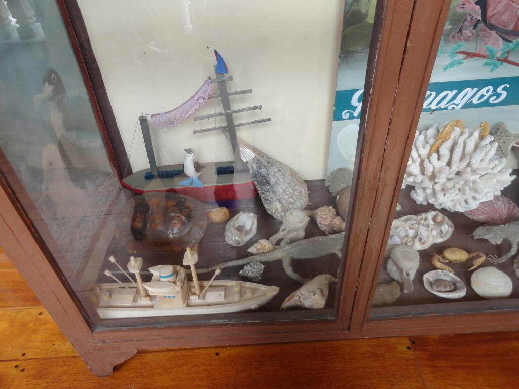 Foto: Vitrina - Baños (Tungurahua), Ecuador