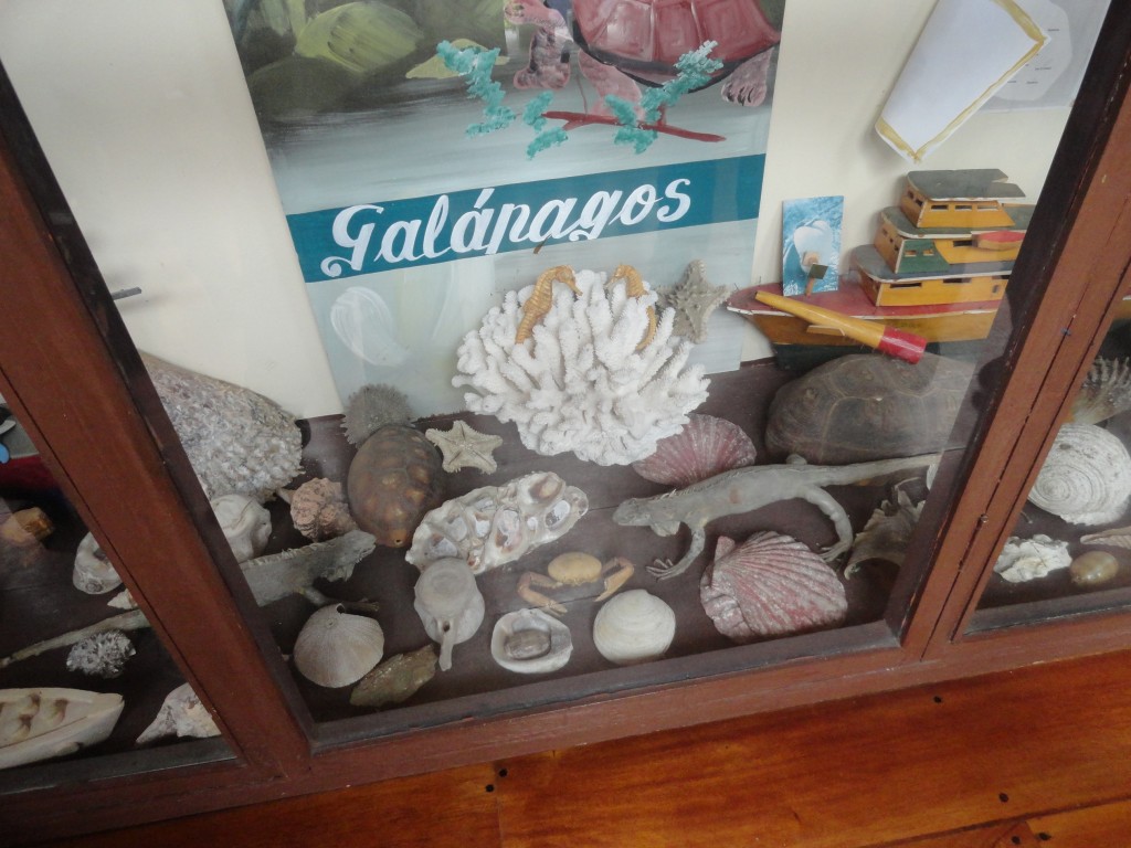 Foto: Vitrina - Baños (Tungurahua), Ecuador