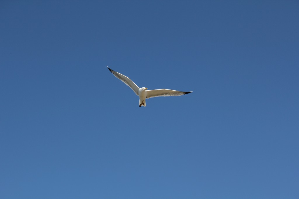 Foto de Cádiz (Andalucía), España