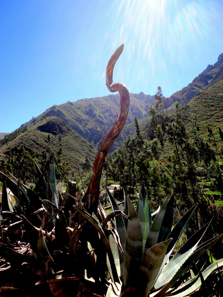 Foto: Paisaje - Tarma (Junín), Perú
