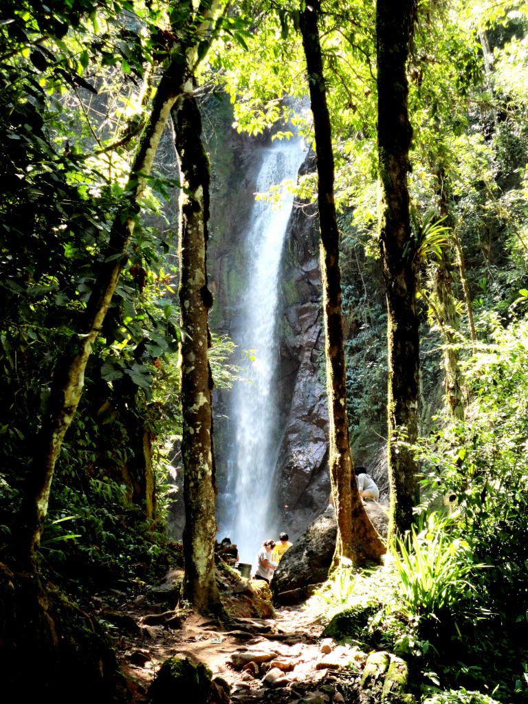 Foto: Catarata - Chanchamayo (Junín), Perú