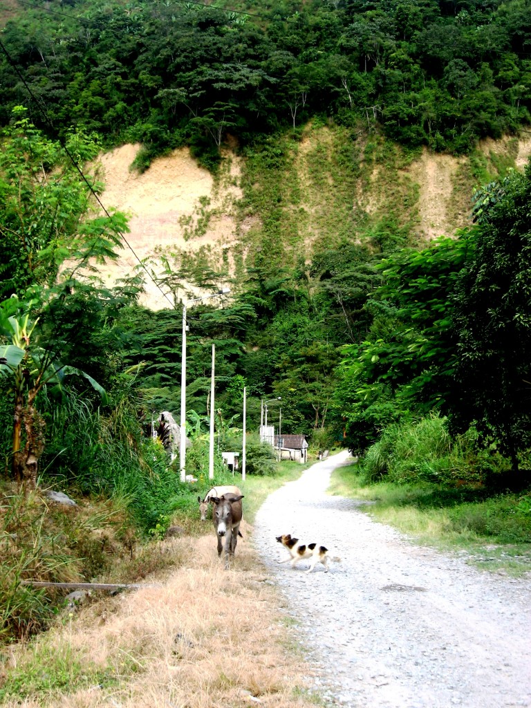 Foto: Paisaje - Chanchamayo (Junín), Perú