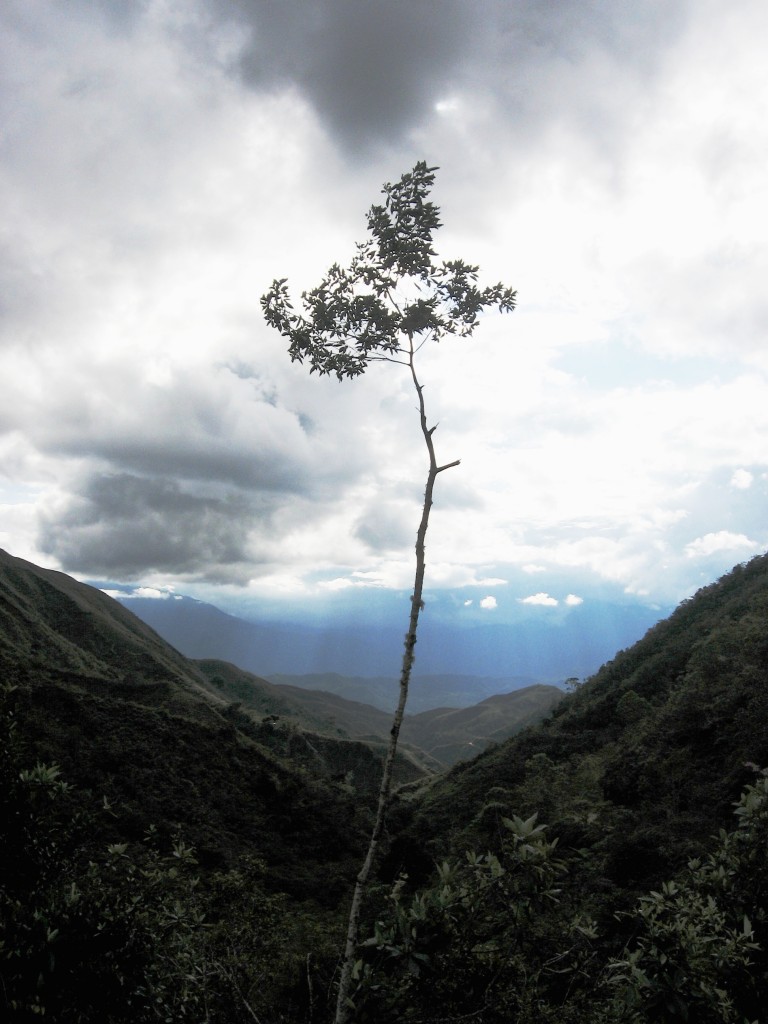 Foto: Paisaje - Chanchamayo (Junín), Perú