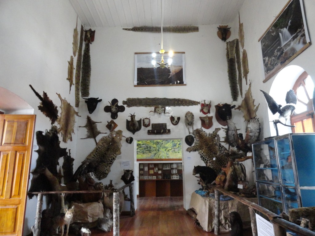 Foto: Pieles de animales - Baños (Tungurahua), Ecuador
