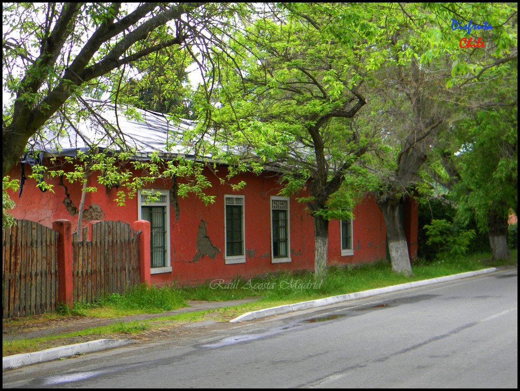 Foto: Zúñiga - San Vicente de Tagua Tagua (Libertador General Bernardo OʼHiggins), Chile