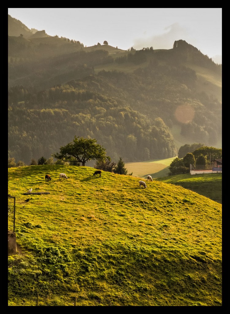 Foto de Gruyère (Fribourg), Suiza