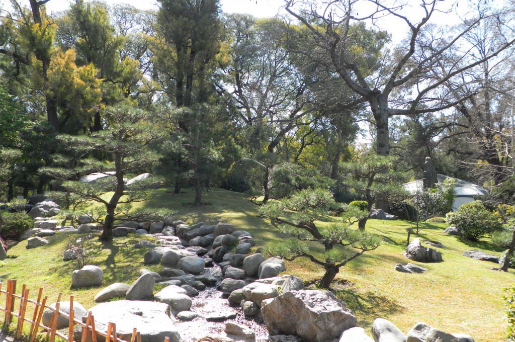 Foto: ツリー - Recoleta (Buenos Aires), Argentina