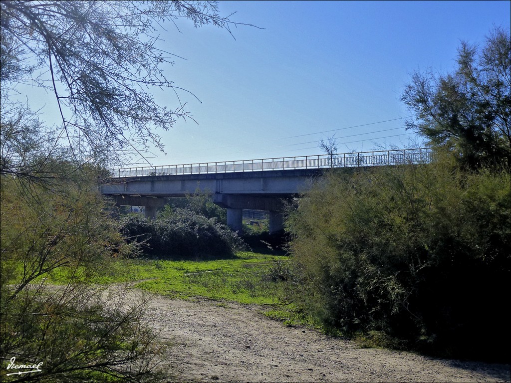 Foto: 121027-01 MONZALBARBA - Monzalbarba (Zaragoza), España