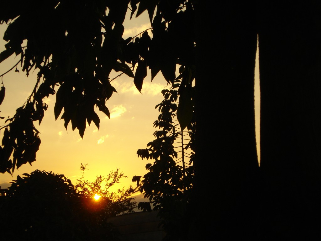 Foto: Amanecer - Ibagué (Tolima), Colombia