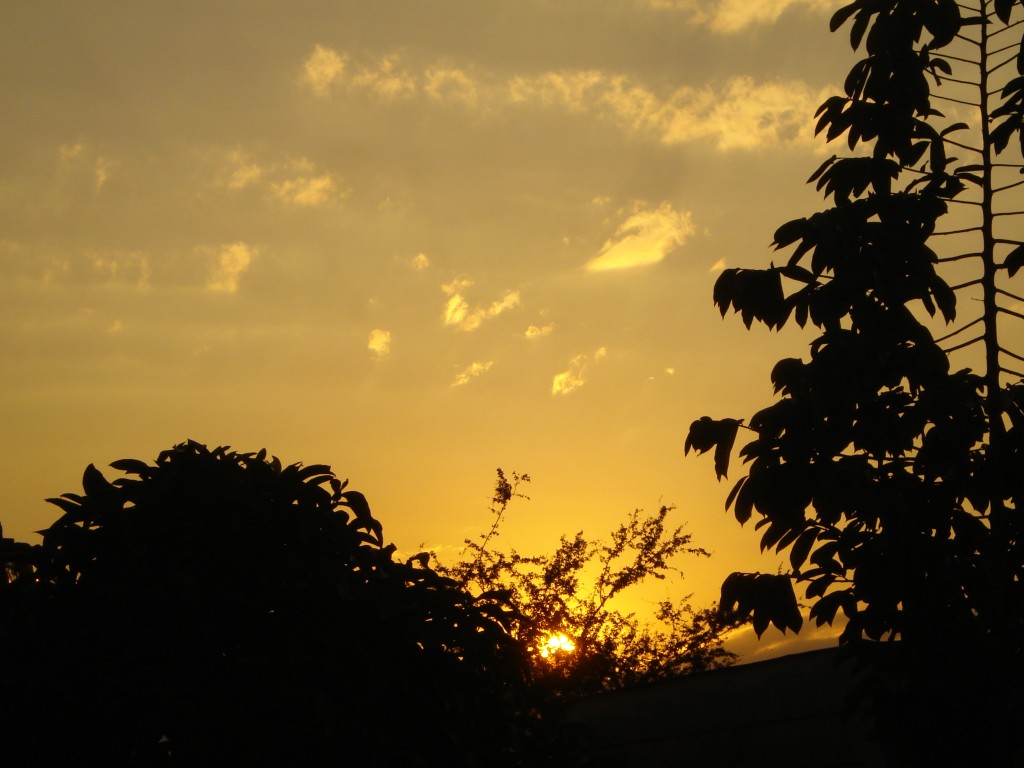 Foto: Amanecer II - Ibagué (Tolima), Colombia