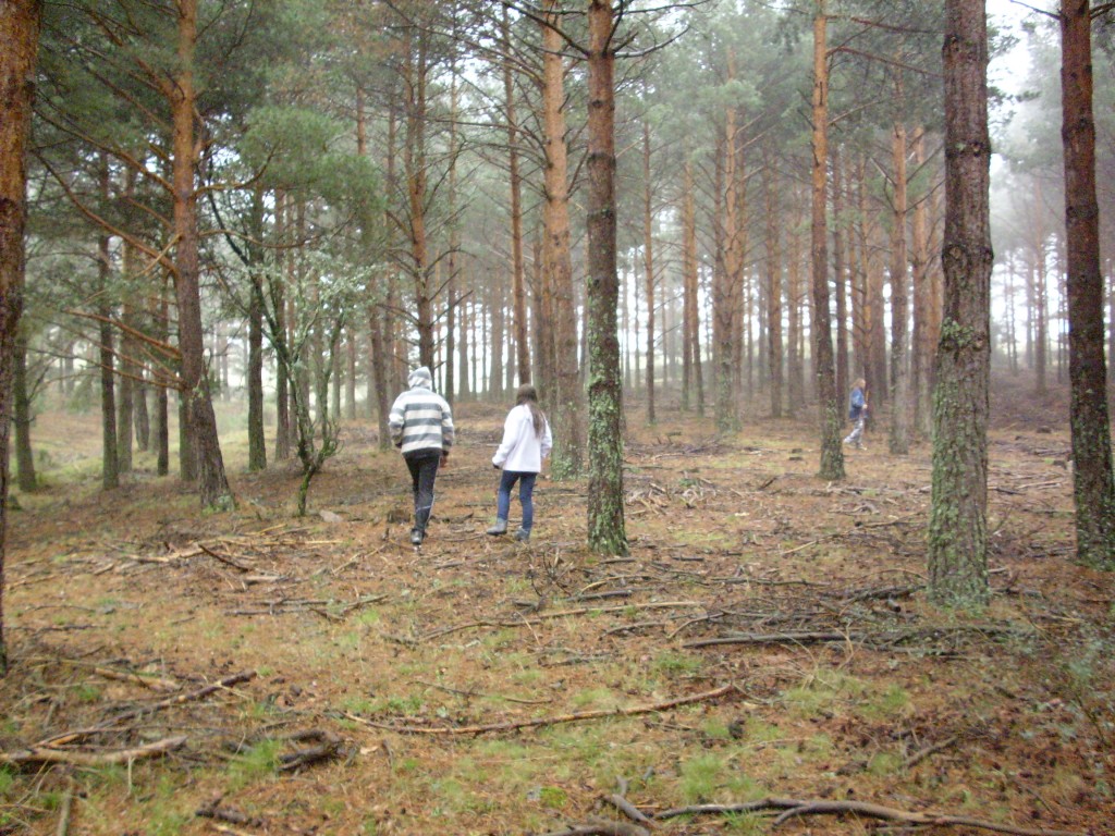 Foto de Otero de Herreros (Segovia), España