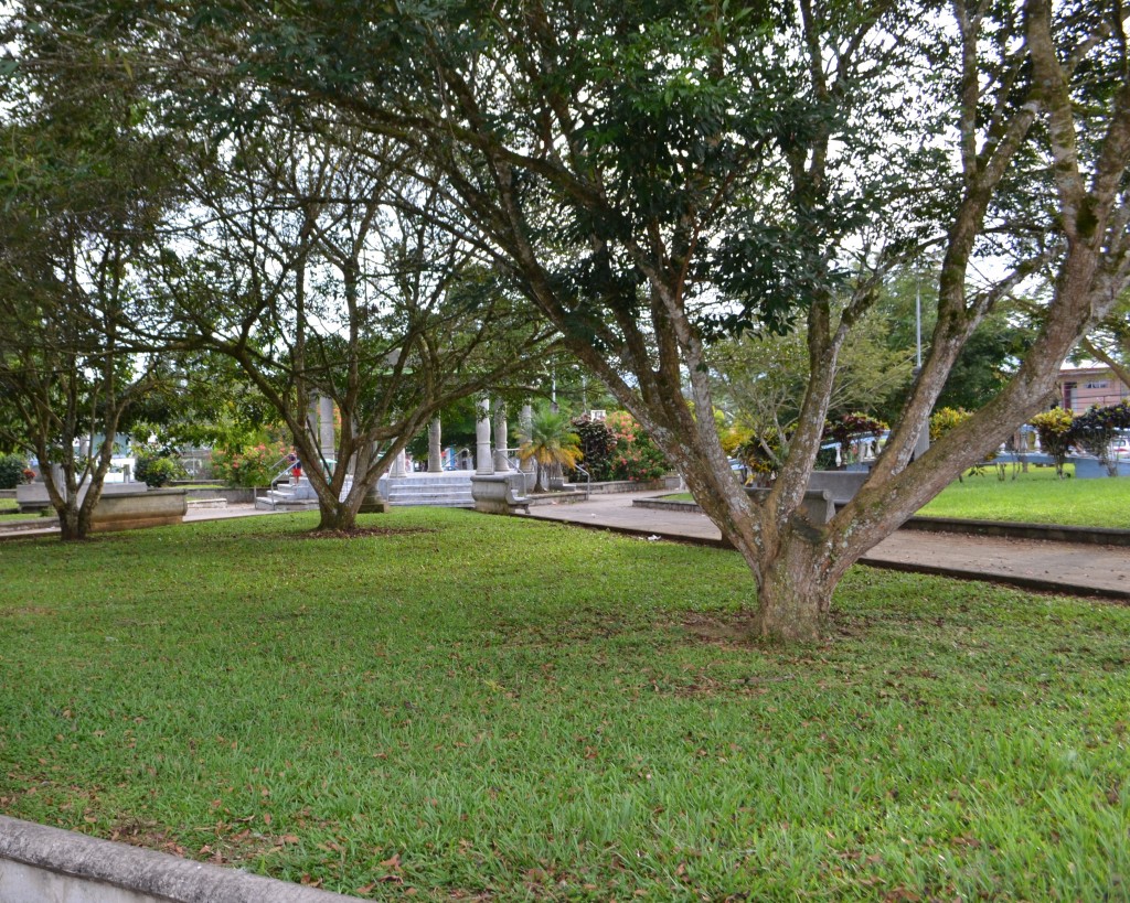 Foto: SAN ISIDRO DEL GENERAL - Palmares De Perez Zeledón (San José), Costa Rica