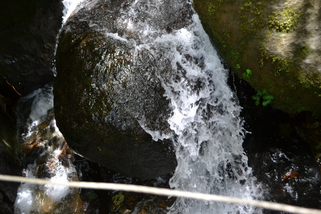 Foto: PEREZ ZELEDÓN - Quebradas de Perez Zeledón (San José), Costa Rica