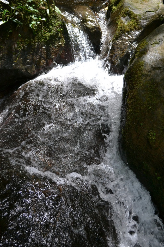 Foto: PÉREZ ZELEDÓN - Quebradas de Perez Zeledón (San José), Costa Rica