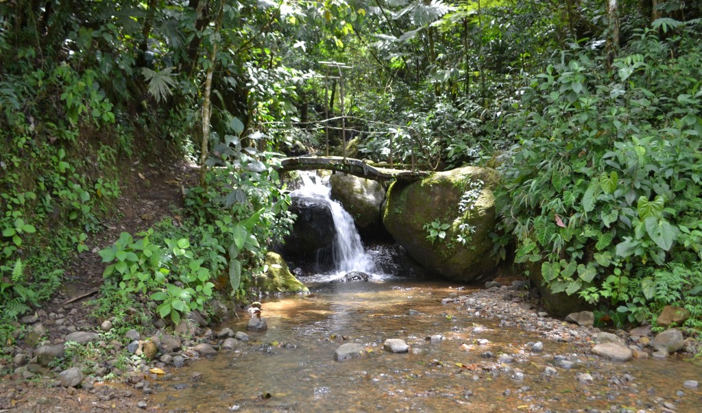 Foto: PÉREZ ZELEDÓN - Quebradas de Perez Zeledón (San José), Costa Rica