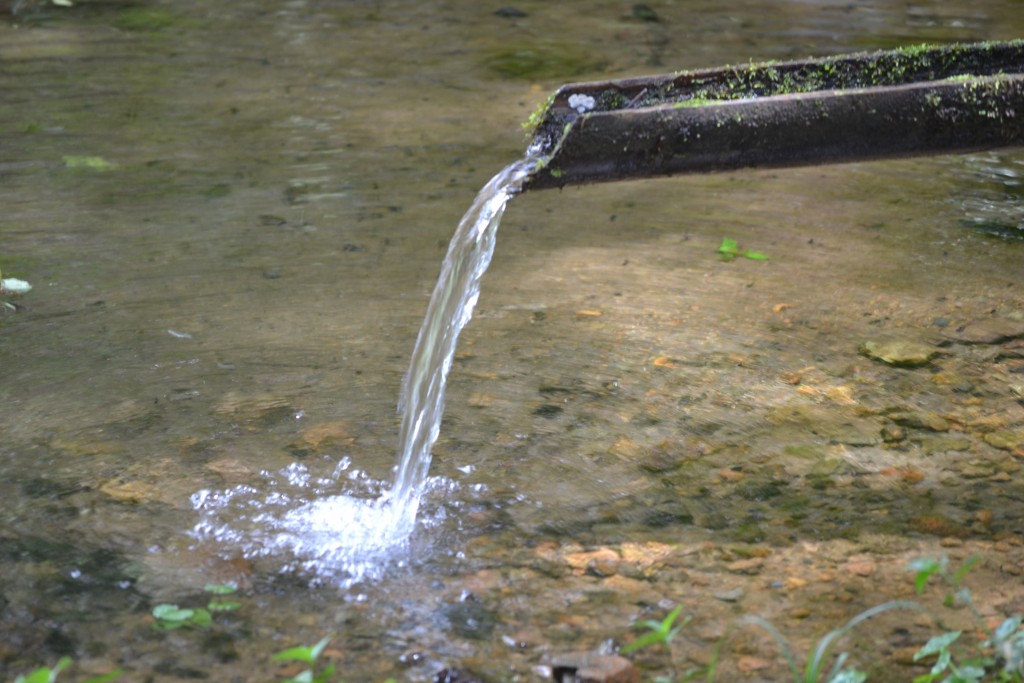 Foto: PÉREZ ZELEDÓN - Quebradas de Perez Zeledón (San José), Costa Rica