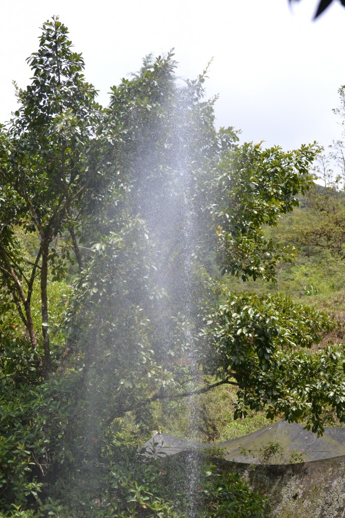 Foto: PÉREZ ZELEDÓN - Quebradas de Perez Zeledón (San José), Costa Rica