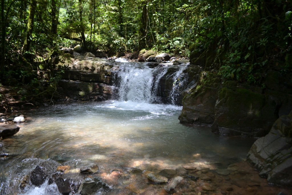Foto: PÉREZ ZELEDÓN - Quebradas de Perez Zeledón (San José), Costa Rica