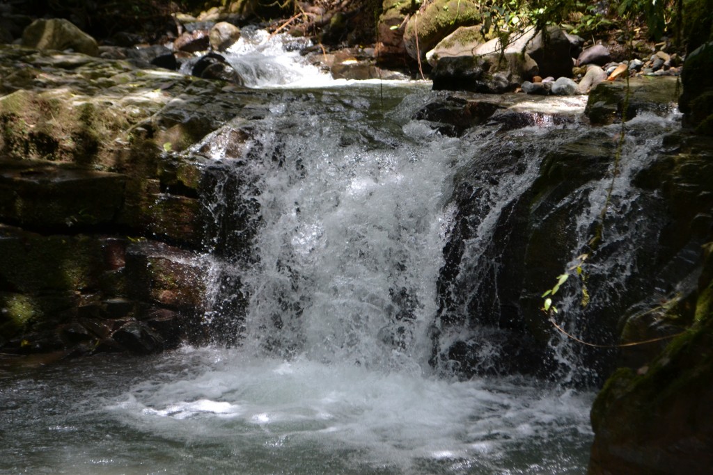 Foto: PÉREZ ZELEDÓN - Quebradas de Perez Zeledón (San José), Costa Rica