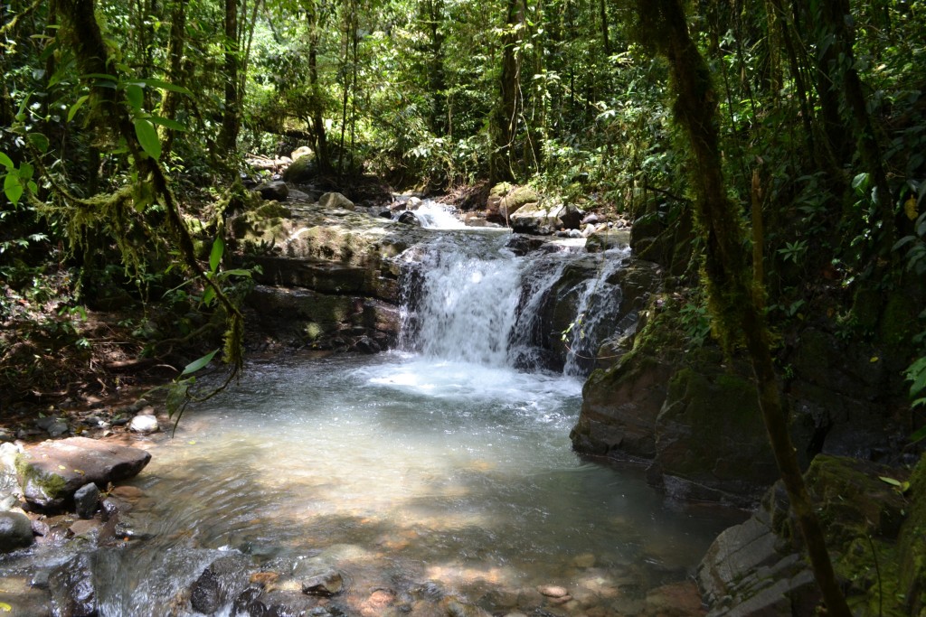 Foto: PÉREZ ZELEDÓN - Quebradas de Perez Zeledón (San José), Costa Rica