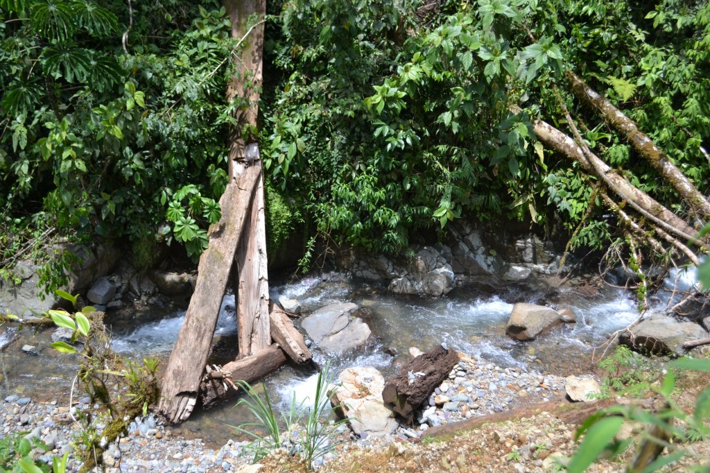 Foto: PÉREZ ZELEDÓN - Quebradas de Perez Zeledón (San José), Costa Rica
