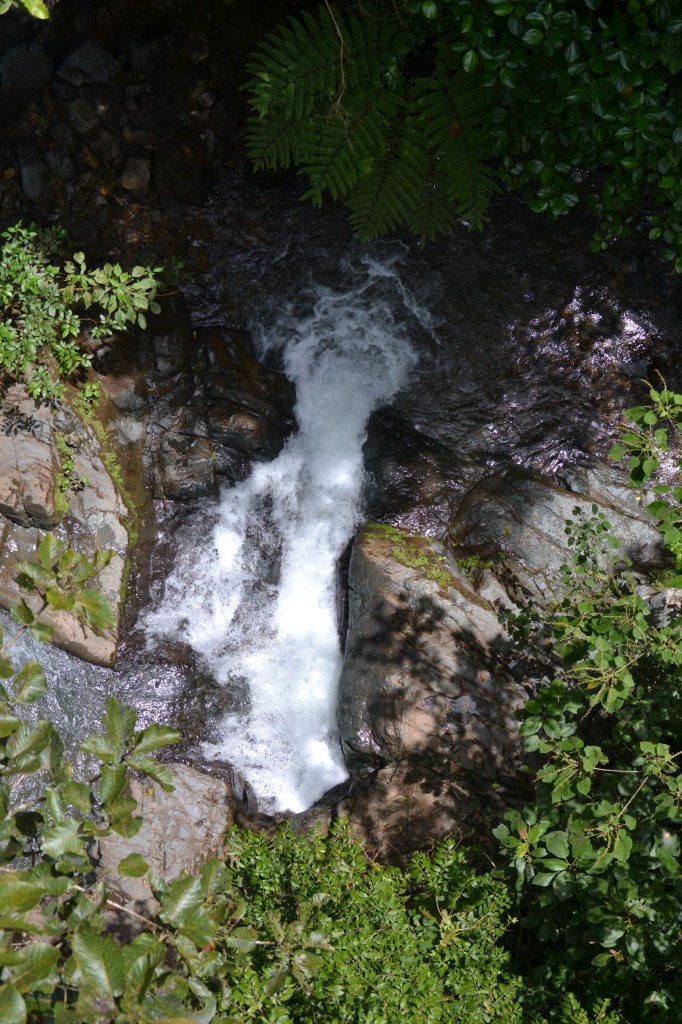 Foto: PÉREZ ZELEDÓN - Quebradas de Perez Zeledón (San José), Costa Rica