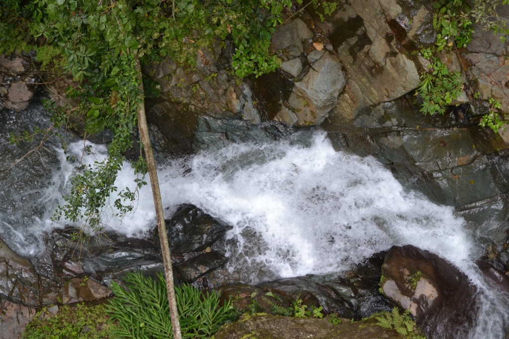 Foto: PÉREZ ZELEDÓN - Quebradas de Perez Zeledón (San José), Costa Rica